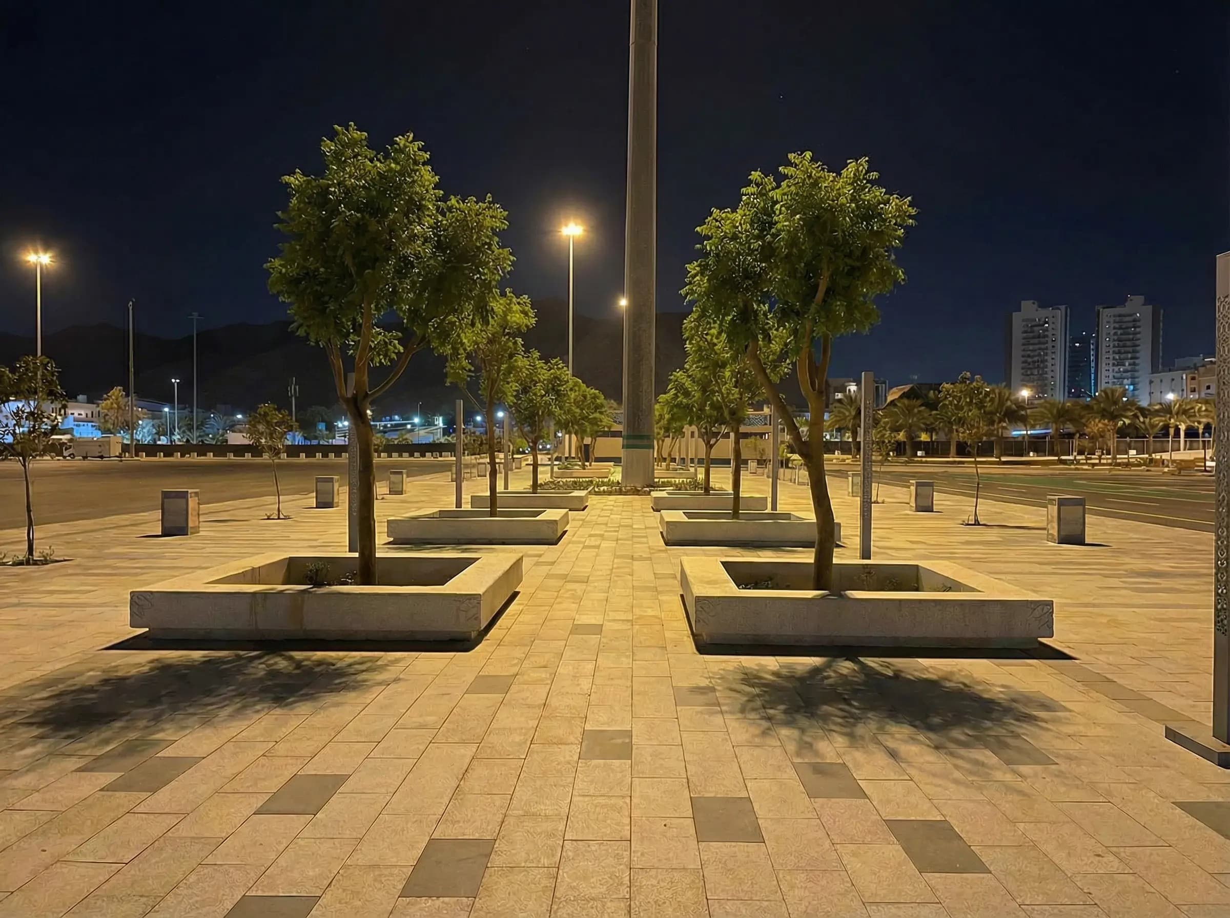 صورة 3